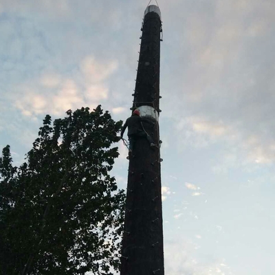 Bionischer Q345b-Tarnungs-Handy-Turm galvanisierte gefälschten Baum