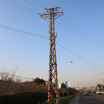 Winkel galvanisierte Türme der Fernleitungs-220kv, elektrischen Hochspannungsturm 10m